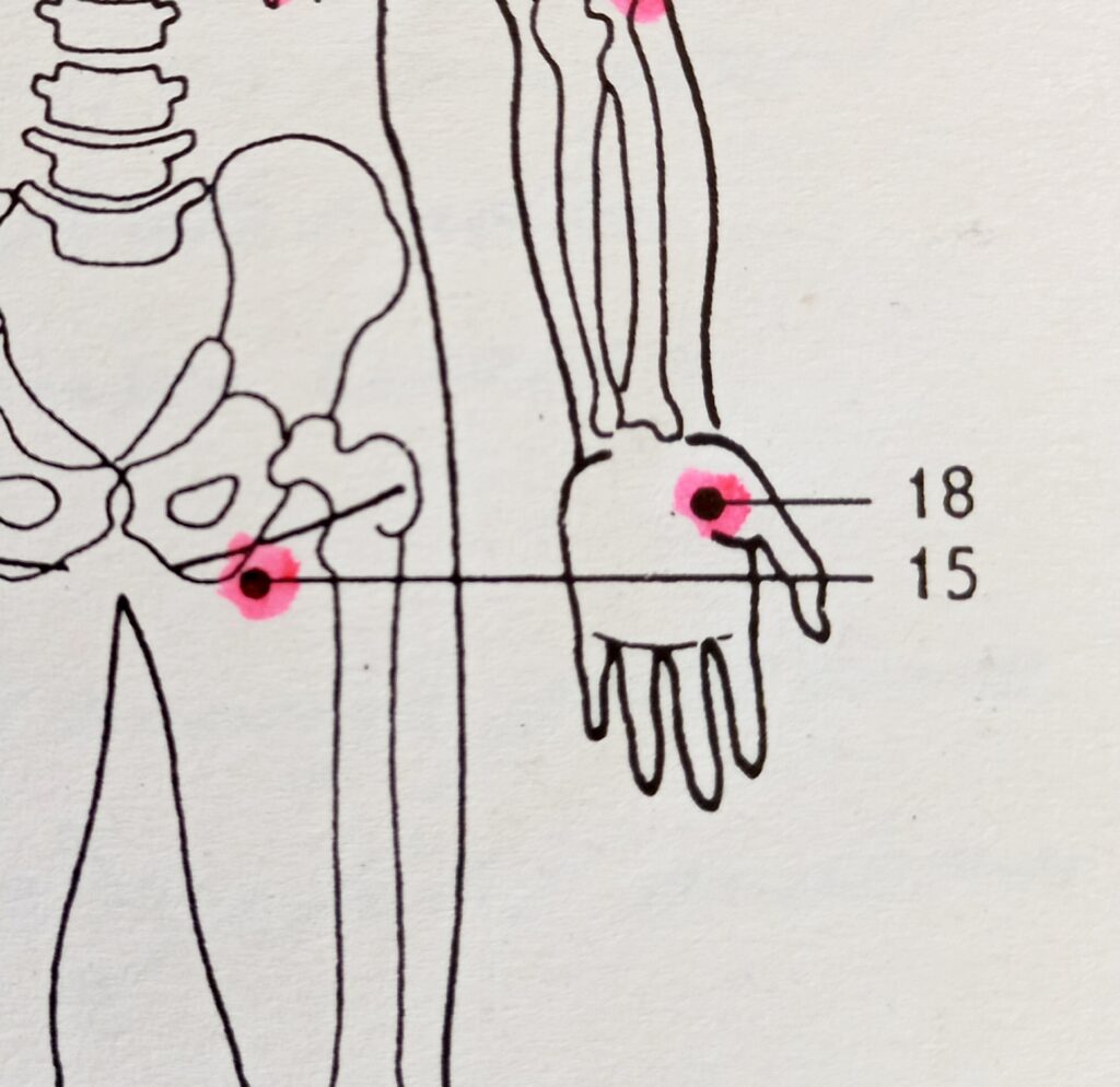 Jin Shin Jyutsu 1000046928