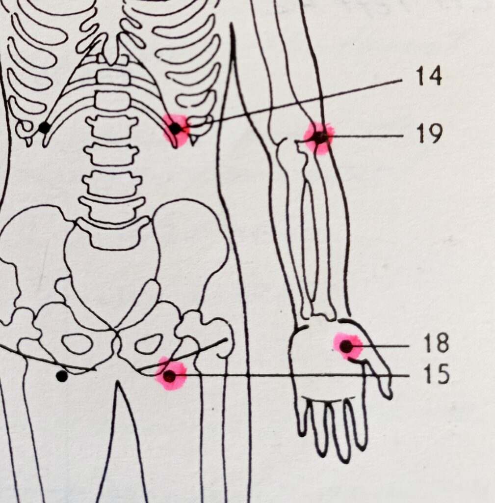 Jin Shin Jyutsu 1000046929
