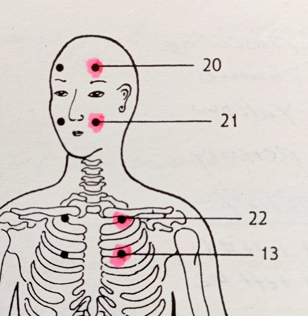 Jin Shin Jyutsu 1000046930