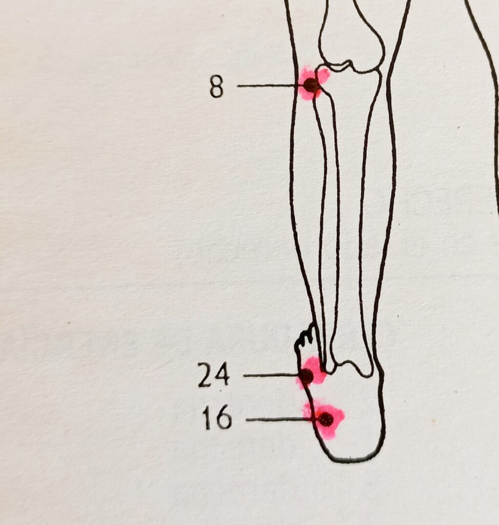 Jin Shin Jyutsu 1000046932