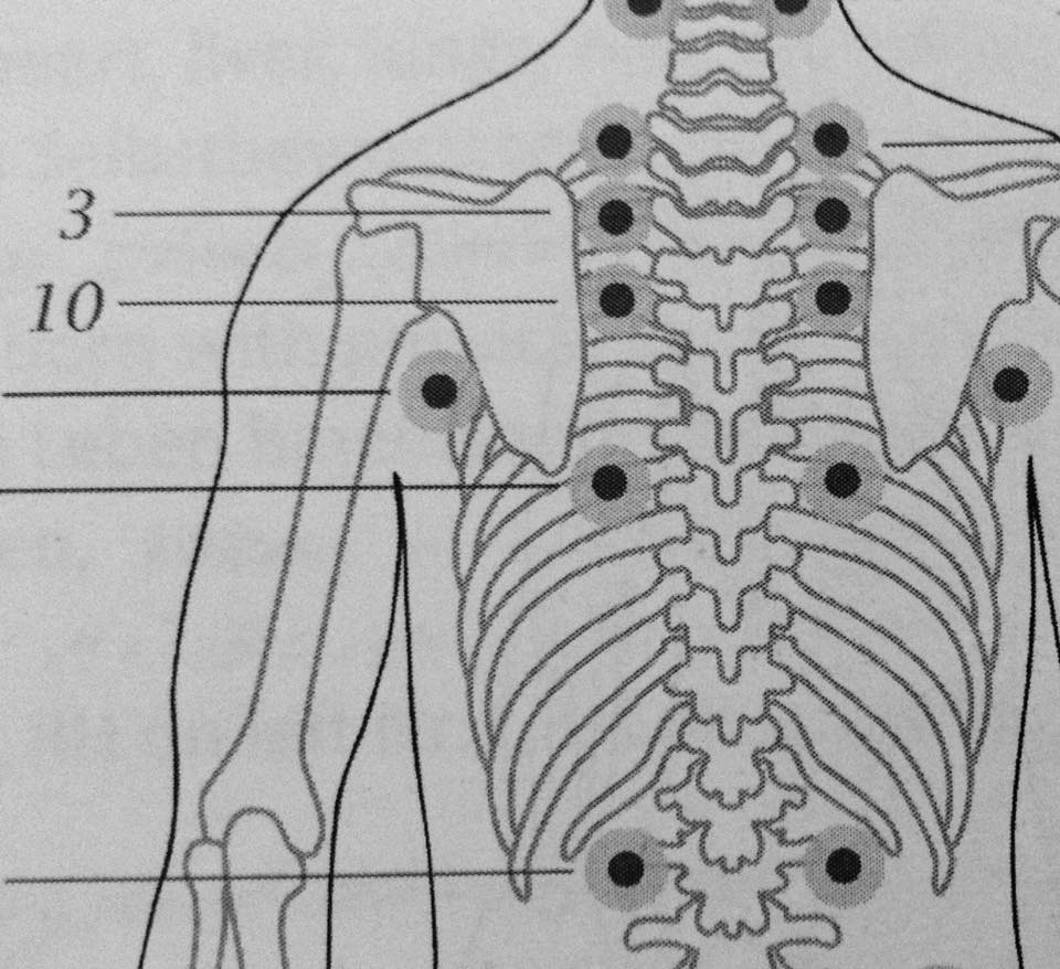 Jin Shin Jyutsu 2288