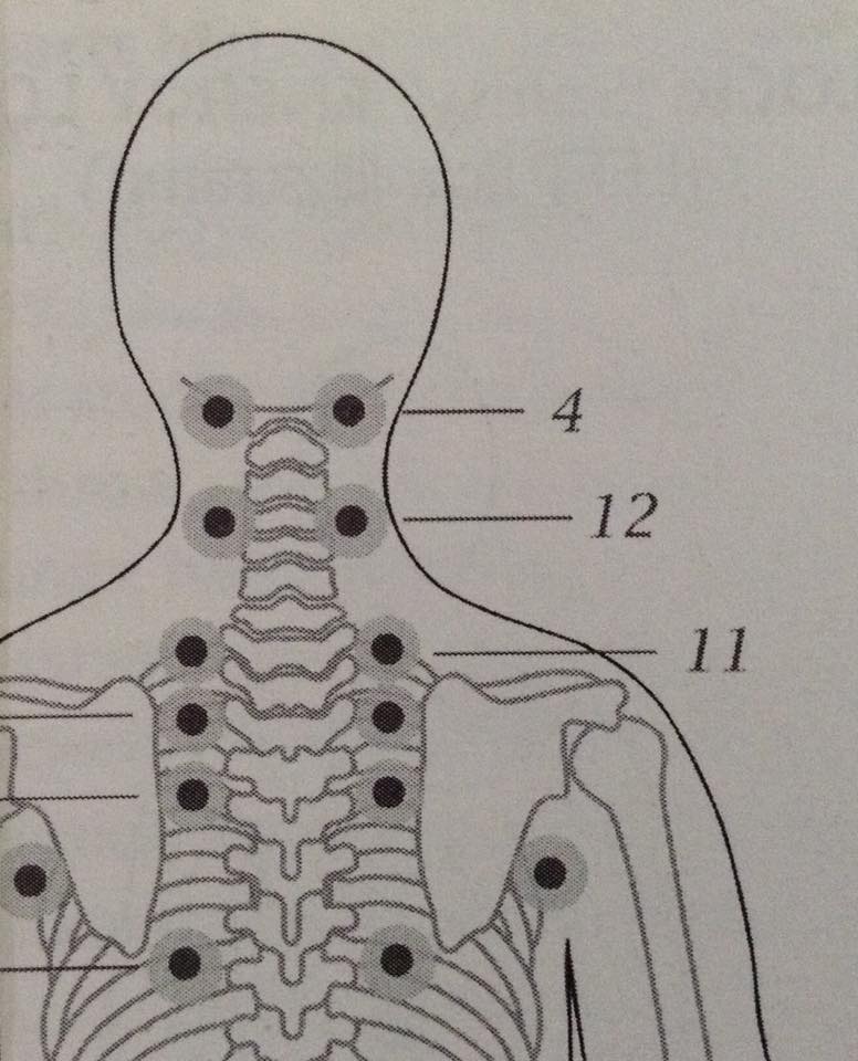 Jin Shin Jyutsu 2316
