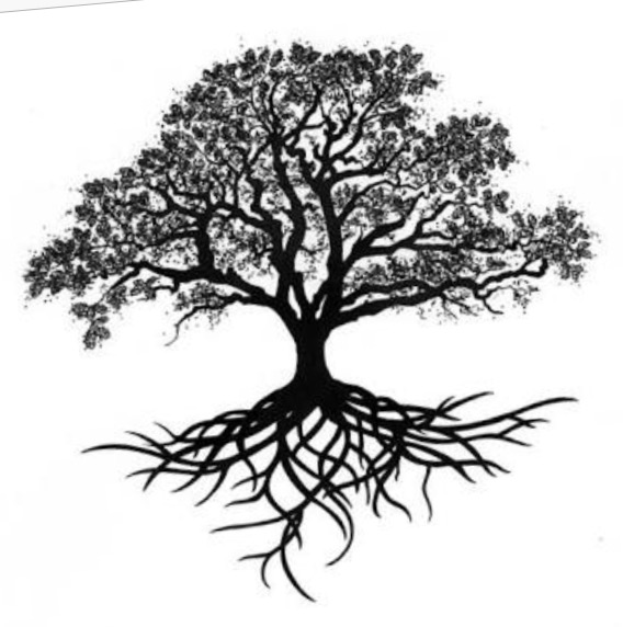 Jin Shin Jyutsu screenshot